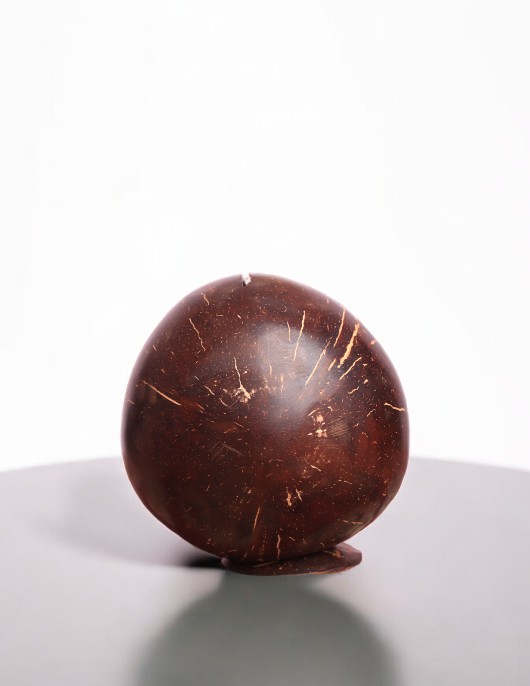 Eco-Friendly Piggy Bank Made of Coconut Shell