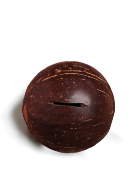 Eco-Friendly Piggy Bank Made of Coconut Shell