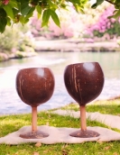 Eco-Friendly Wine Cup Made from Coconut Shell