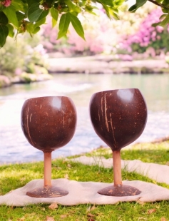Eco-Friendly Wine Cup Made from Coconut Shell