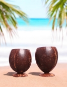 Eco-Friendly Coconut Shell Juice Cup