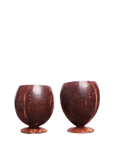 Eco-Friendly Coconut Shell Juice Cup