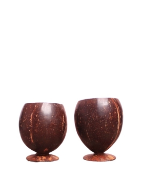 Eco-Friendly Coconut Shell Juice Cup