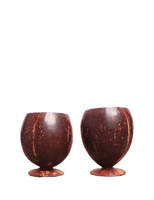 Eco-Friendly Coconut Shell Juice Cup