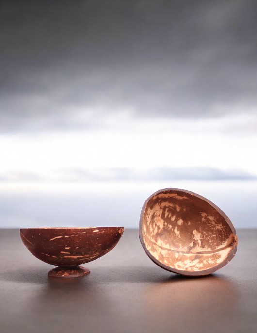 Eco-Friendly Ice Cream Bowl Made from Coconut Shell