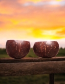 Eco-Friendly Coconut Shell Soup Bowl