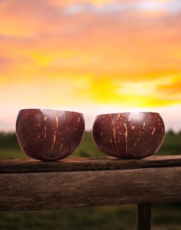 Eco-Friendly Coconut Shell Soup Bowl