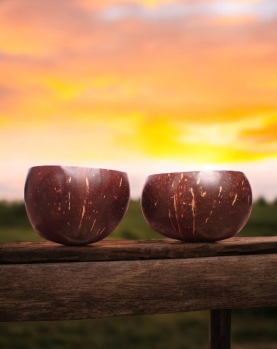 Eco-Friendly Coconut Shell Soup Bowl