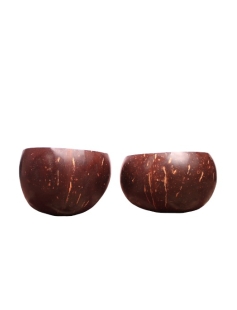 Eco-Friendly Coconut Shell Soup Bowl