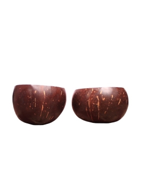 Eco-Friendly Coconut Shell Soup Bowl