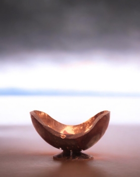 Eco-Friendly Coconut Shell Soap Container